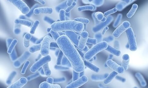 bactérias no corpo humano