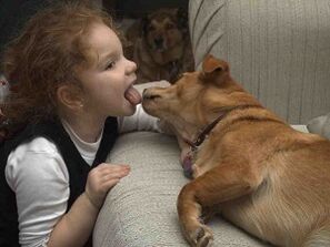a criança beija o cachorro e fica infectada com parasitas